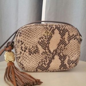 Vince Camuto Snake Print Crossbody
